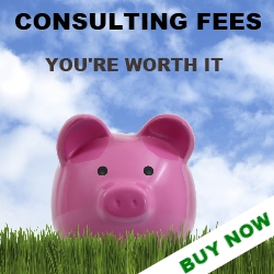 Consulting Fees Guide ad